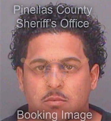 Delgado Ericks - Pinellas County, FL 