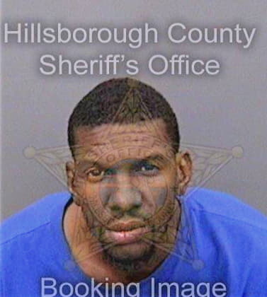 Williams Delvin - Hillsborough County, FL 