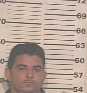 Hernandez Jose - Hidalgo County, TX 