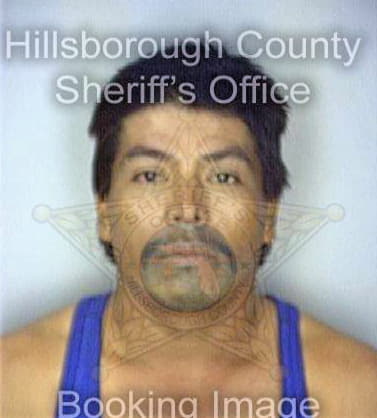 Mendezreynusa Adrain - Hillsborough County, FL 