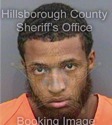 Nelson Bryan - Hillsborough County, FL 