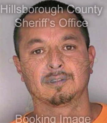 Castaneda Roy - Hillsborough County, FL 