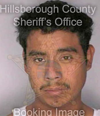 Perez Frederico - Hillsborough County, FL 