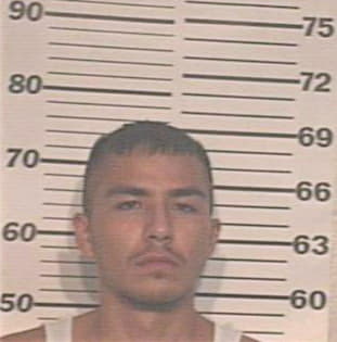 Peralez Daniel - Hidalgo County, TX 