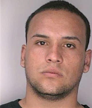 Cardona Hammer - Hillsborough County, FL 