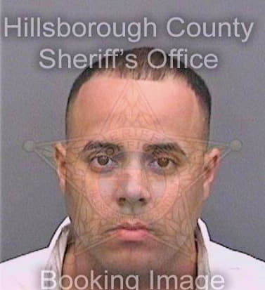 Deridder Derick - Hillsborough County, FL 