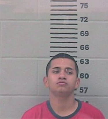 Ruiz Raul - Gillespie County, TX 