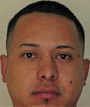 Padillaramirez Luis - Hillsborough County, FL 