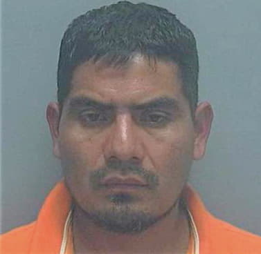 Martinez-Garcia Verulio - Lee County, FL 