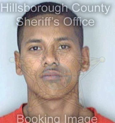 Regino David - Hillsborough County, FL 