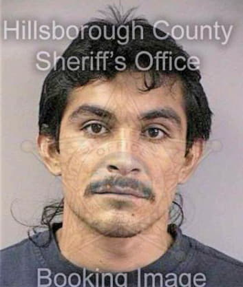 Compean Julio - Hillsborough County, FL 