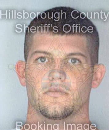 Peterson Dustin - Hillsborough County, FL 