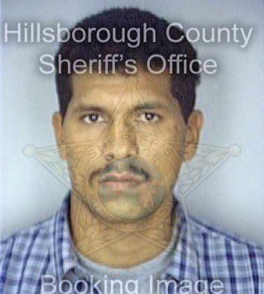 Villalobosacosta Jose - Hillsborough County, FL 