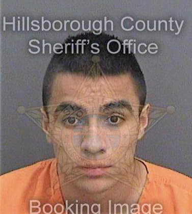 Mendezpaez Omar - Hillsborough County, FL 