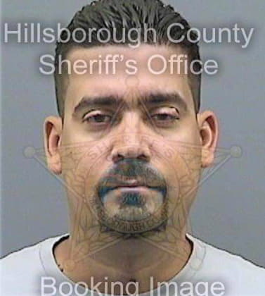 Vazquez Edgardo - Hillsborough County, FL 