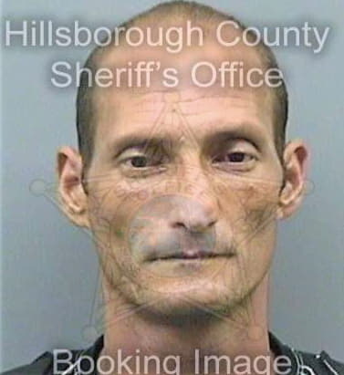 Martinezreiner Yonmay - Hillsborough County, FL 