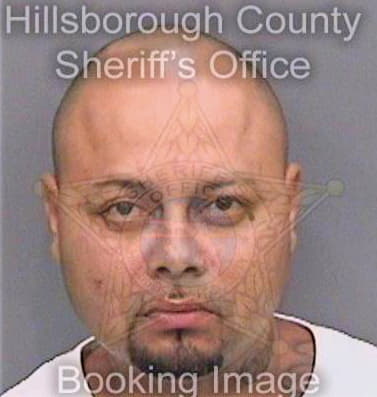 Ortiz Rodolfo - Hillsborough County, FL 