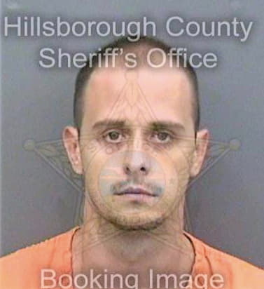 Poznanski Christopher - Hillsborough County, FL 