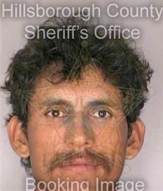 Silosmelendez Simon - Hillsborough County, FL 