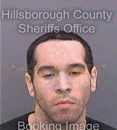 Gonzalez Joshua - Hillsborough County, FL 