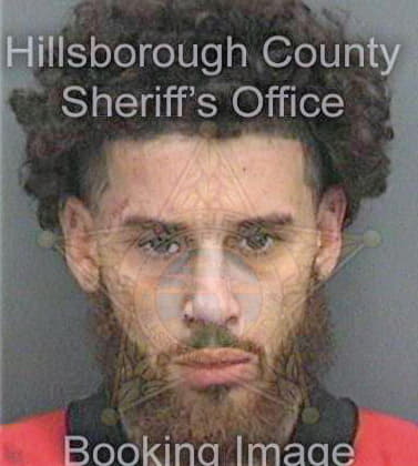 Ramirez Nicolas - Hillsborough County, FL 