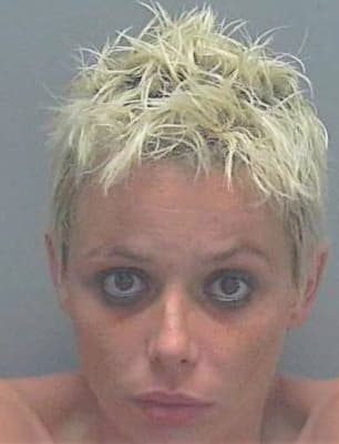 Shreve Ashley - Lee County, FL 