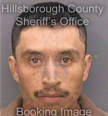 Gonzalezmoralez Dario - Hillsborough County, FL 