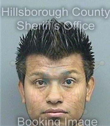 Perezangon Osiel - Hillsborough County, FL 