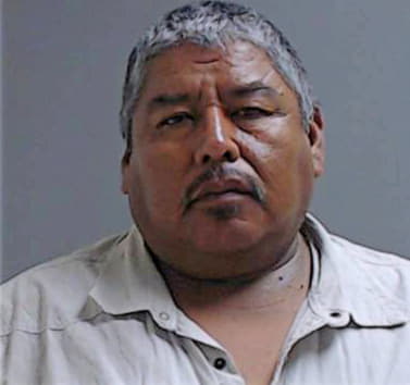 Hernandez Ovidio - Hidalgo County, TX 