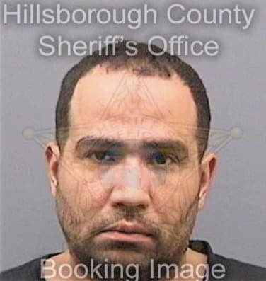 Diaz Ricardo - Hillsborough County, FL 