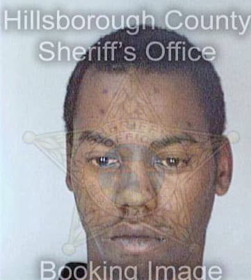 Belin Theodore - Hillsborough County, FL 