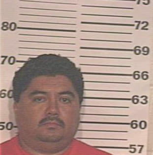 Garcia Tomas - Hidalgo County, TX 