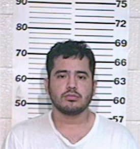 Deleon Daniel - Hidalgo County, TX 