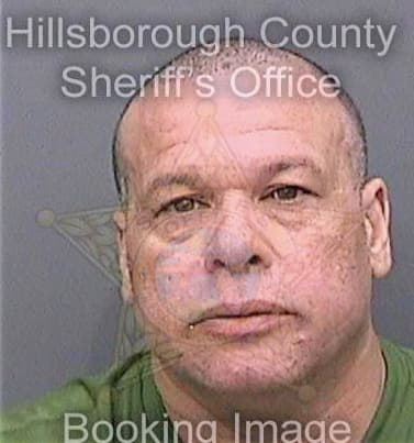 Davidtorres Jose - Hillsborough County, FL 