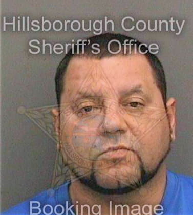 Melendez Luis - Hillsborough County, FL 
