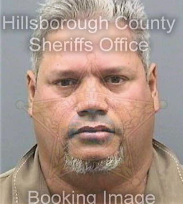 Gonzalezsantiago Ramon - Hillsborough County, FL 