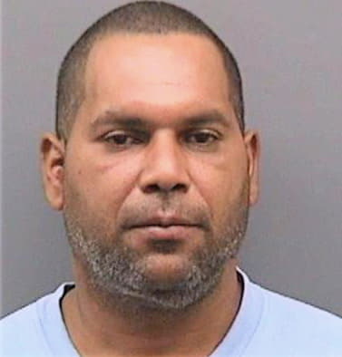Mcdonald Bertram - Hillsborough County, FL 