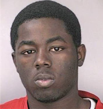 Mckinney Dredrick - Hillsborough County, FL 