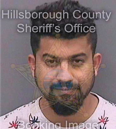 Sundor Vikash - Hillsborough County, FL 