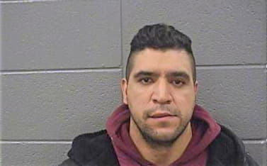 Gonzalez Genaro - Cook County, IL 