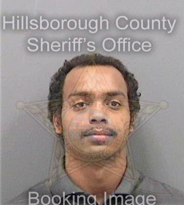 Bull Rashard - Hillsborough County, FL 