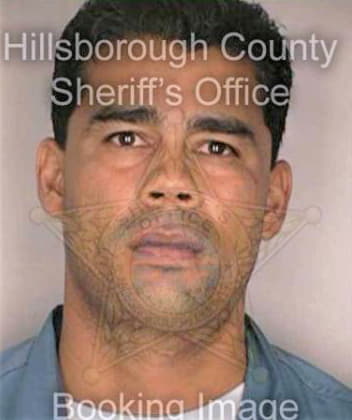 Mendez Robert - Hillsborough County, FL 