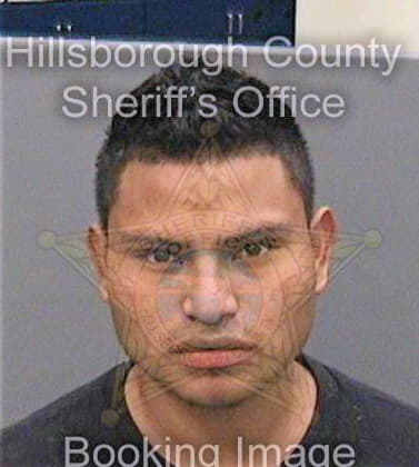 Lopez Daniel - Hillsborough County, FL 