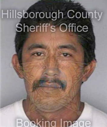 Guerrero Juan - Hillsborough County, FL 