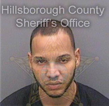 Mendezalbino Anderson - Hillsborough County, FL 
