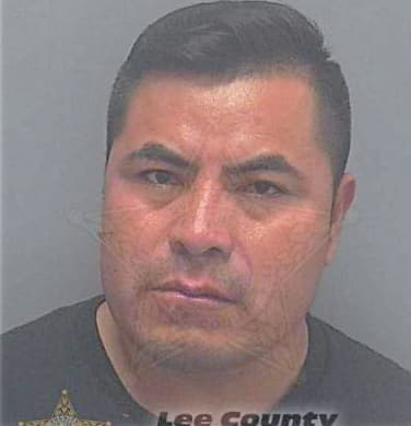 Jose-Ventura Domingo - Lee County, FL 