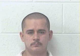 Arriaza Luis - Newton County, GA 