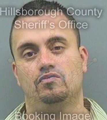 Mendez William - Hillsborough County, FL 