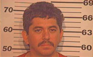 Guzman Alvaro - Hidalgo County, TX 