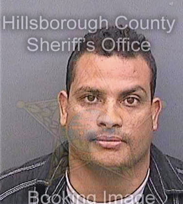 Suarez Luis - Hillsborough County, FL 